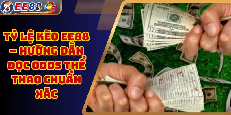 Tỷ Lệ Kèo EE88 – Hướng Dẫn Đọc Odds Thể Thao Chuẩn Xác