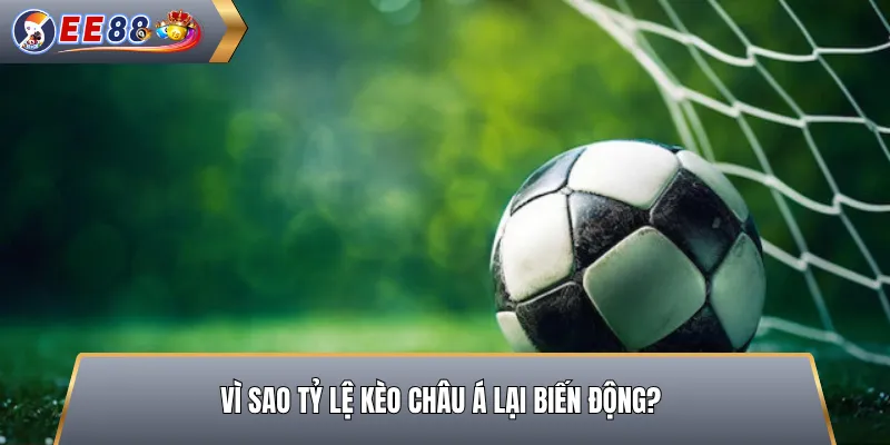 Vì Sao Tỷ Lệ Kèo Châu Á Lại Biến Động?